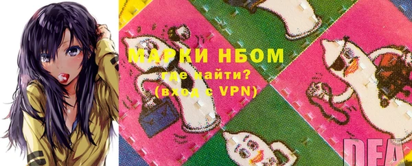 МДПВ Ельня