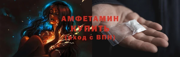 гидра Абаза