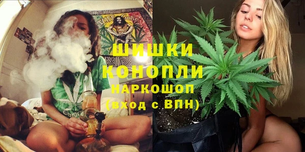 гидра Абаза