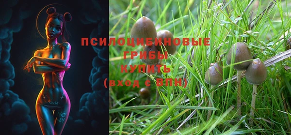 МДПВ Елабуга