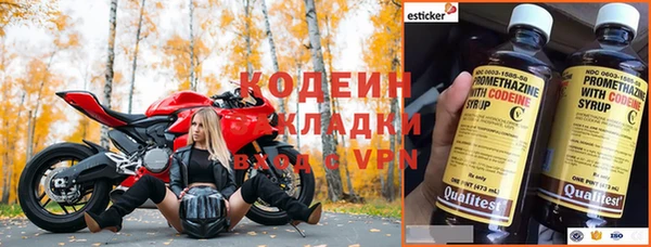 гидра Абаза
