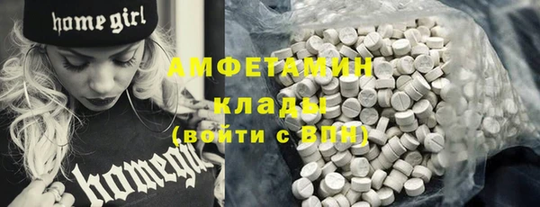 гидра Абаза