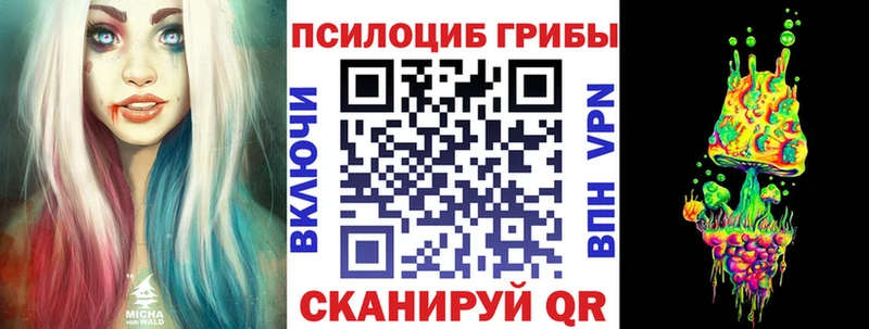 KRAKEN онион  что такое   Вилюйск  Псилоцибиновые грибы Magic Shrooms 